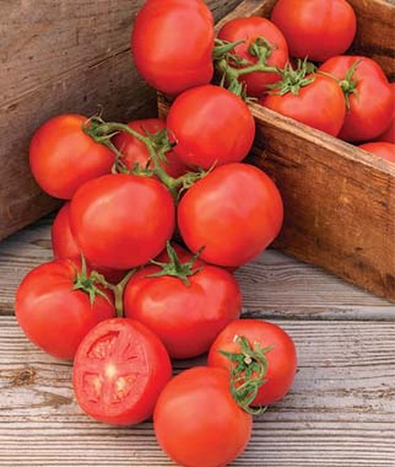 Oh, Happy Day Hybrid Slicer Tomato